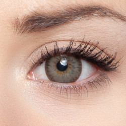 Almond Big Eyes AM2T-X