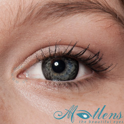 Lily Big Eyes NPW-A4X