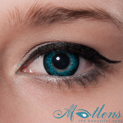 Lily Big Eyes NPW-A4X