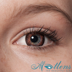 Lily Big Eyes NPW-A4X