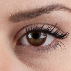 Eyevelyn Silicon-Hydrogel UV Blocking