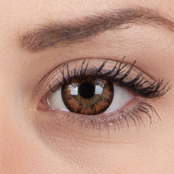 GEOLICA Holi Cat XHC-50X