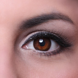 GEOLICA Holi Cat XHC-50X