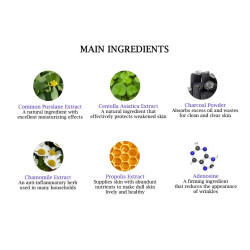 SNP Ice Bear Charcoal Mask