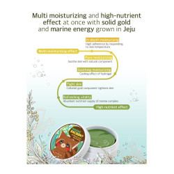 Secret Key Marine Racoony Hydrogel Eye & Multi Patch