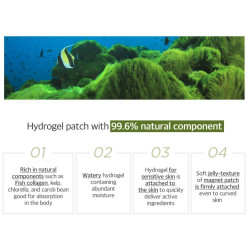 Secret Key Marine Racoony Hydrogel Eye & Multi Patch