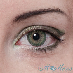 World TriColor 14.2mm PD-31X