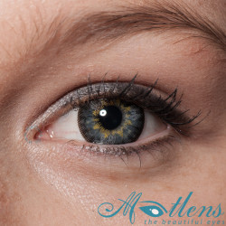 Achillea Big Eyes PDX-35X