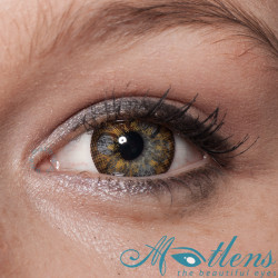 Achillea Big Eyes PDX-35X