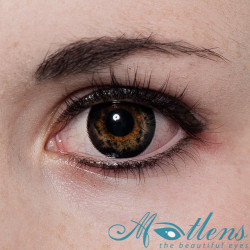 Lotus Big Eyes 14.50mm PZX-1XA