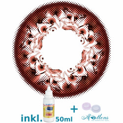 Lotus Big Eyes 14.50mm PZX-1XA