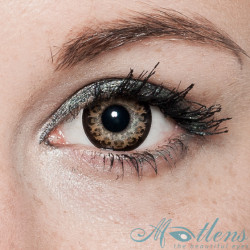 Leopard Big Eyes WFL-G2X