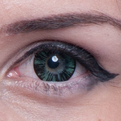 Forest Big Eyes WP-B6X