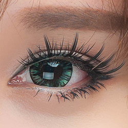 Forest Big Eyes WP-B6X