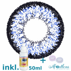 Super Nudy Big Eyes 14.50mm XPC-23X