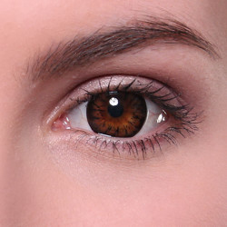 Camelia Big Eyes GPW-A4X