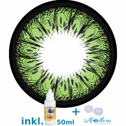 Camelia Big Eyes GPW-A4X