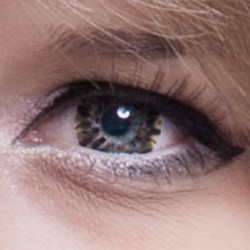 3-tone Diamond NPW-C4X