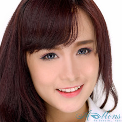 Cornflower Big Eyes PDX-36X