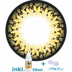 Cornflower Big Eyes PDX-36X