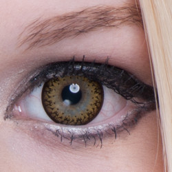 Cornflower Big Eyes PDX-36X