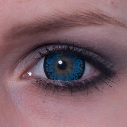 Cornflower Big Eyes PDX-36X