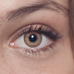 World TriColor 14.2mm PD-31X