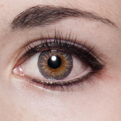 World TriColor 14.2mm PD-31X