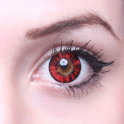 Forest Big Eyes WP-B6X