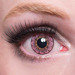 Daisy Big Eyes DS3T-X