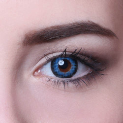 Powder Big Eyes PD3T-X