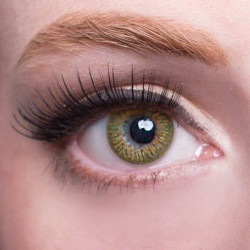 GEOLICA Celine 14.2mm FL-D3X