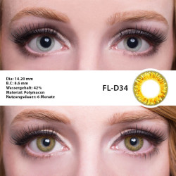 GEOLICA Celine 14.2mm FL-D3X