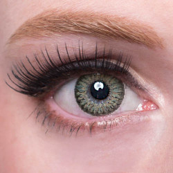 GEOLICA Berry Holic 14.2mm CM-95X