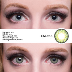 GEOLICA Berry Holic 14.2mm CM-95X